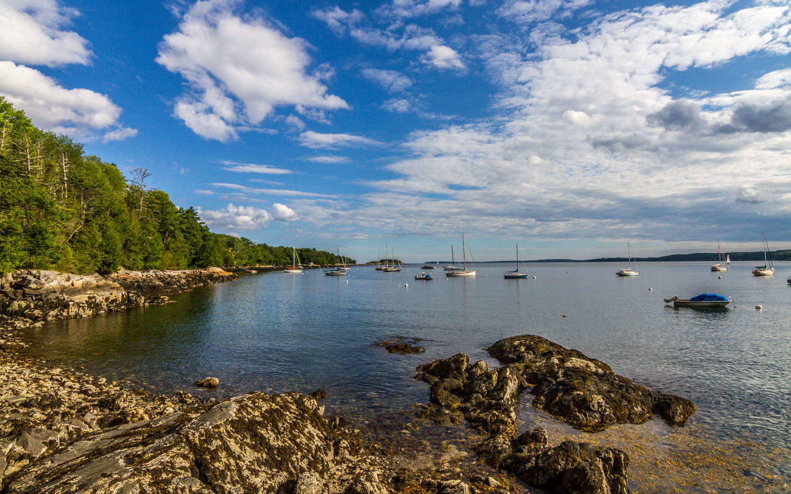 Rockford Coast